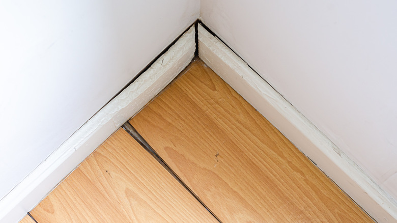 water damage to floor and baseboard