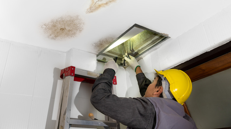 Worker investigating leak from ceiling