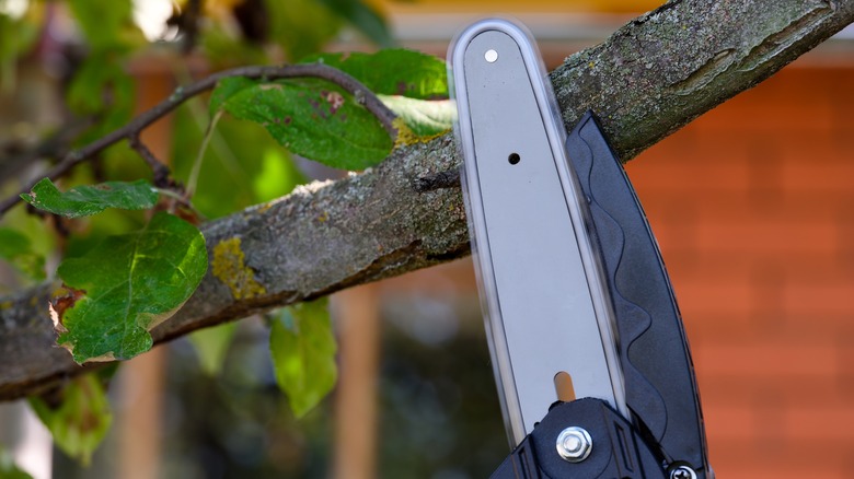 cutting a branch with mini chainsaw