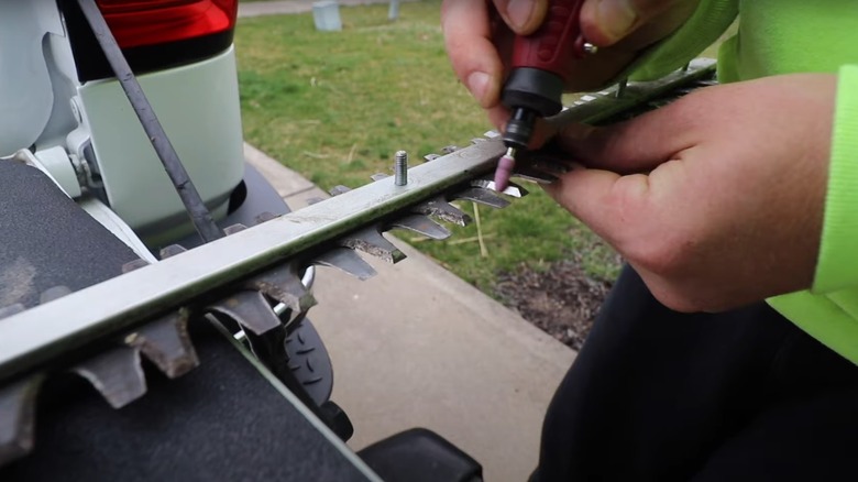 person sharpening hedge trimmer blades