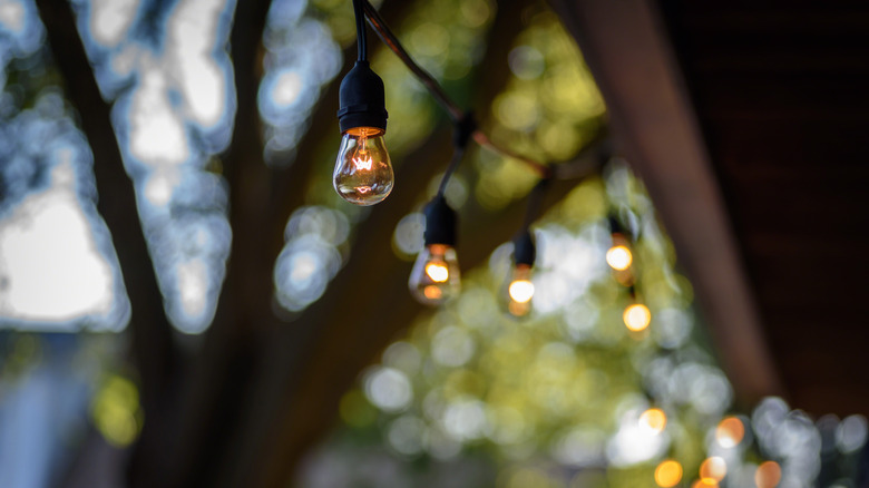 String lights hanging in backyard from a house with a tree in the background