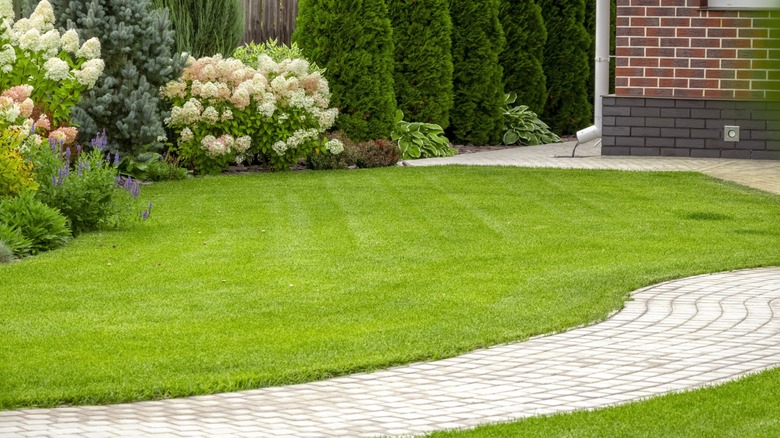 lawn with clean edges