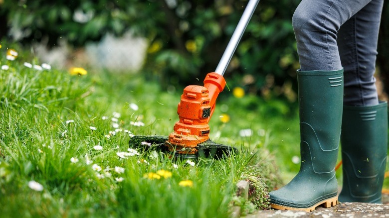 person weed whacking a lawn