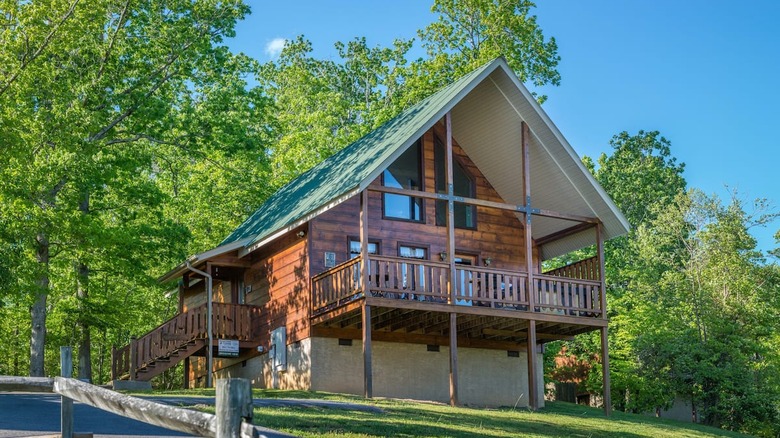 wooden cabin surrounded by green  trees