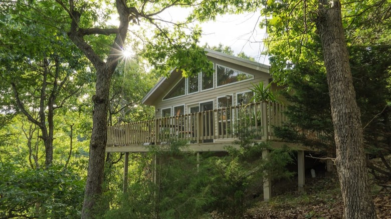 cabin surrounded by green trees 