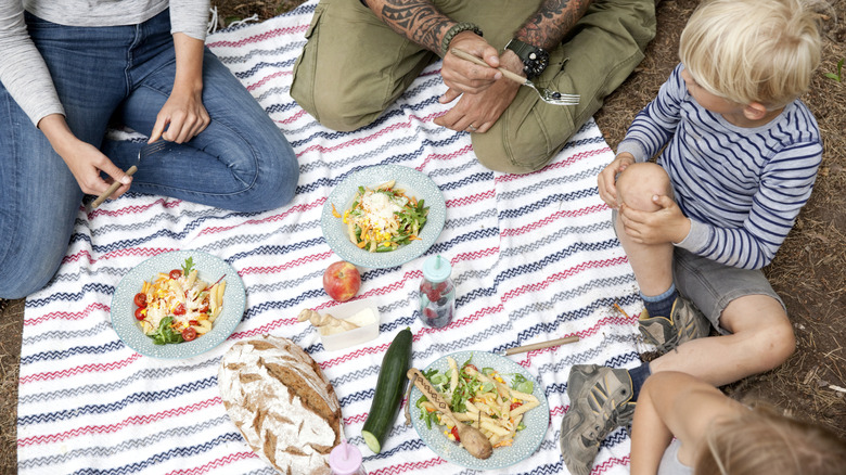 Family having a picnic outside