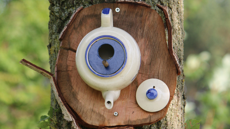 This is a birdhouse made from a blue and white teapot hanging on a tree