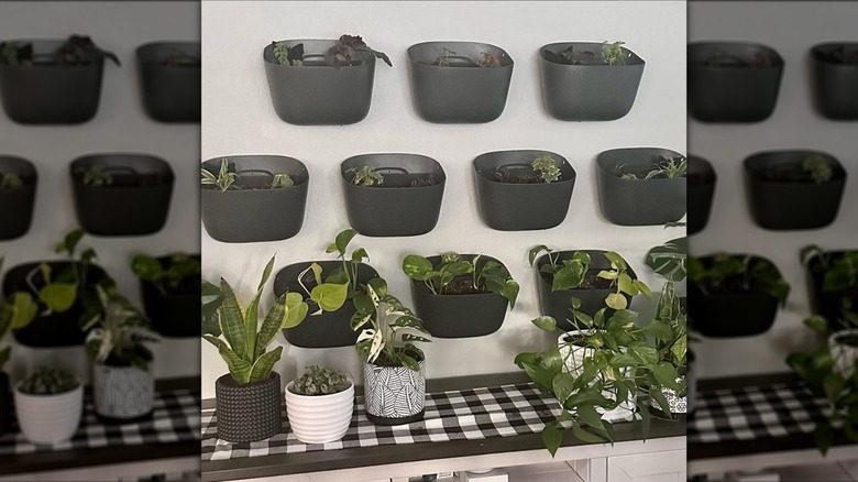 black planters on the wall