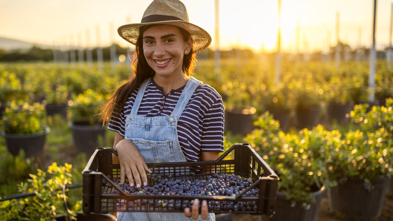 woman holding blueberry tray