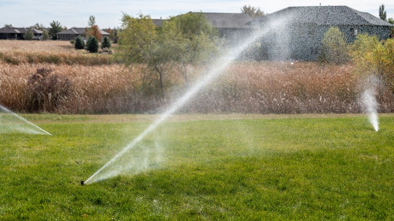 Irrigation system in yard