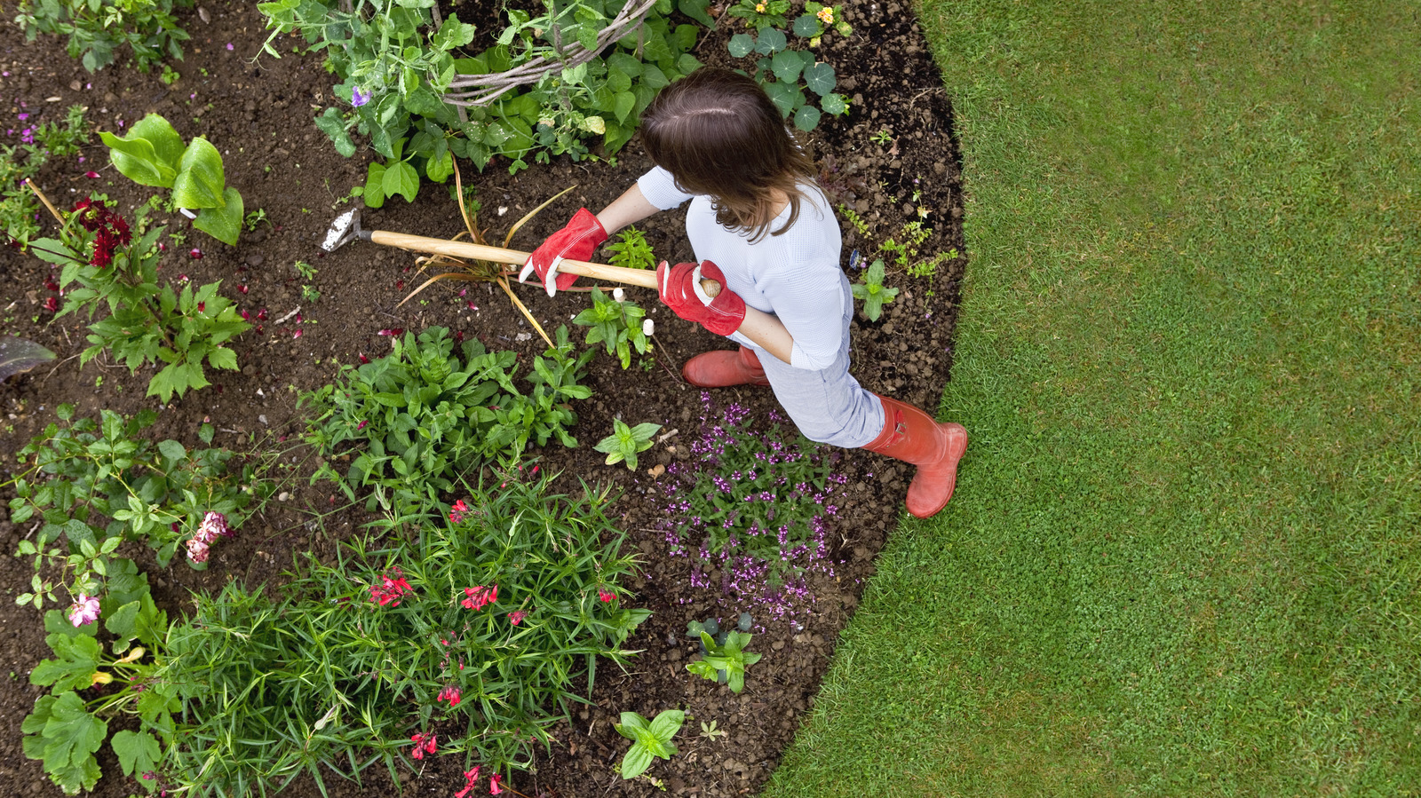 The Crucial Gardening Mistake Martha Stewart Warns Beginners To Avoid