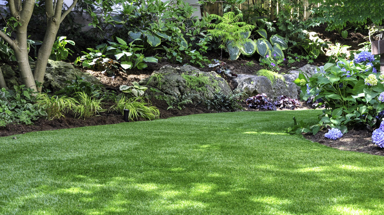 heavily landscaped yard in shade