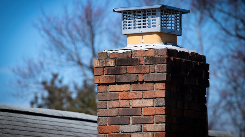 Chimney cap on home