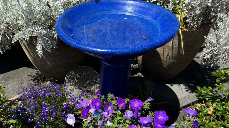 Blue glazed ceramic bird bath in garden