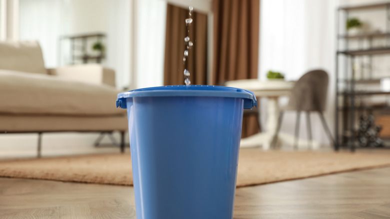 Bucket collecting leaking water