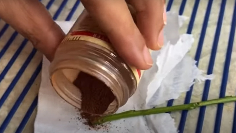 Person applying cinnamon to root cutting