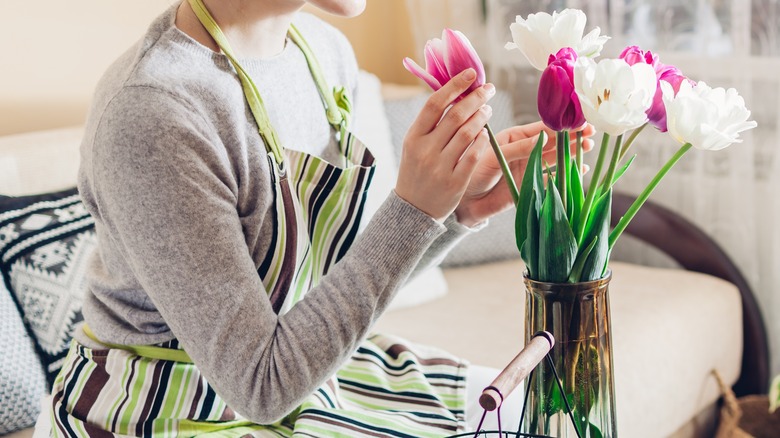 Person arranging tulips in vase