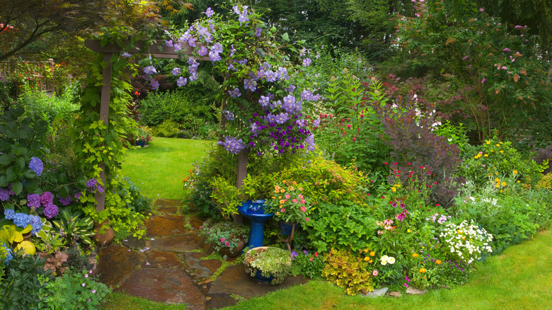 shady flower garden