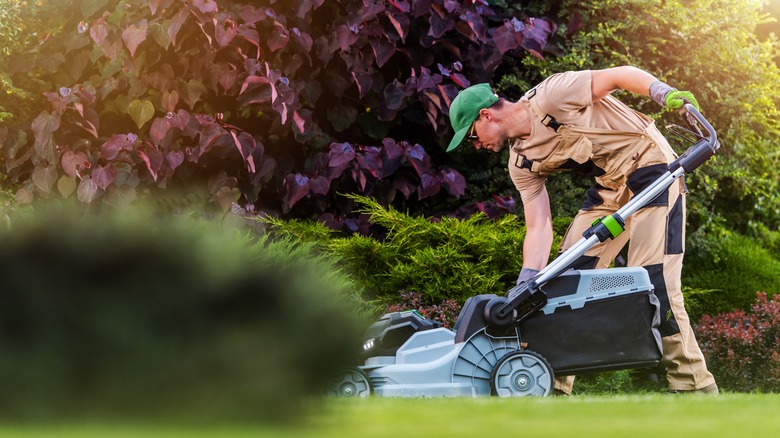 Person mowing grass