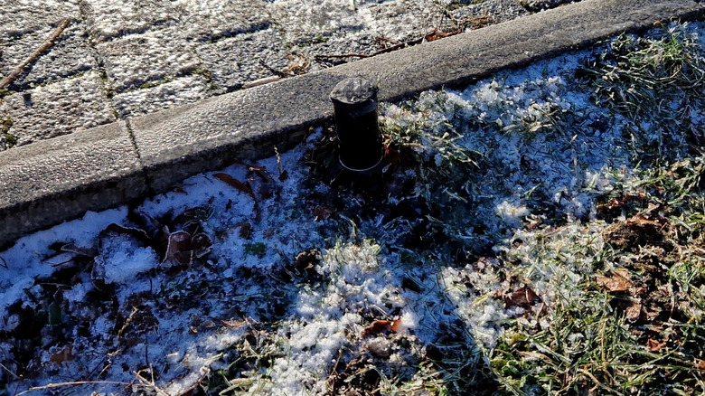 A sprinkler is in a snowy patch of grass near a gray brick pathway