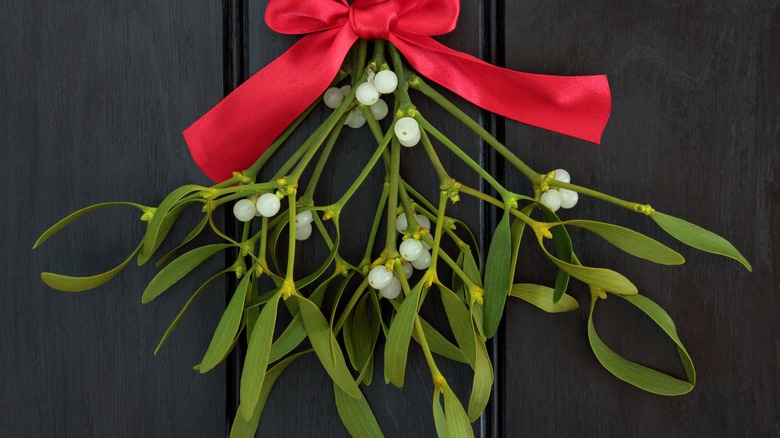 Sprig of mistletoe red ribbon 