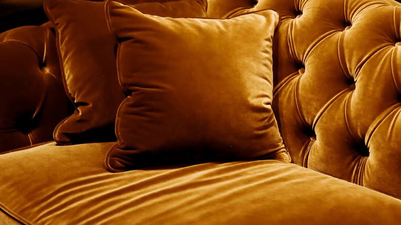 Gold toned slipcover