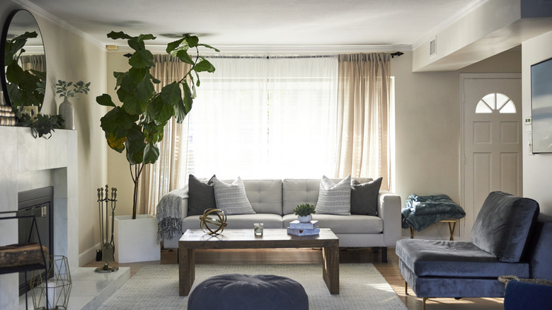 A modern living room with a couch, coffee table and plant