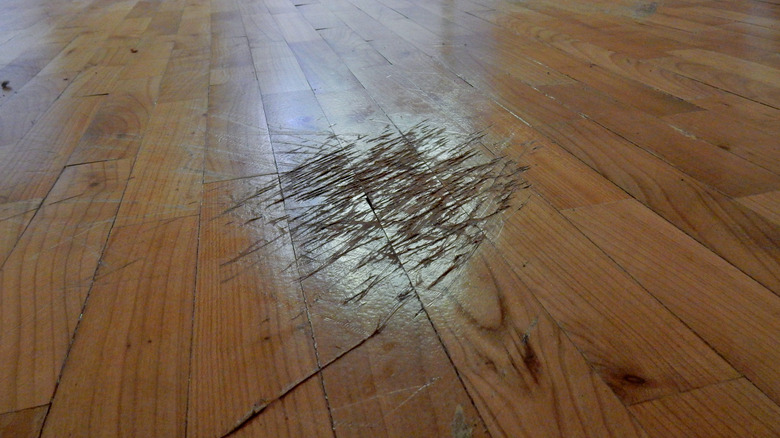 Cherry wood floor with severe scratches 