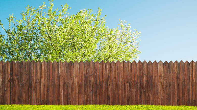 stockade fence in daytime