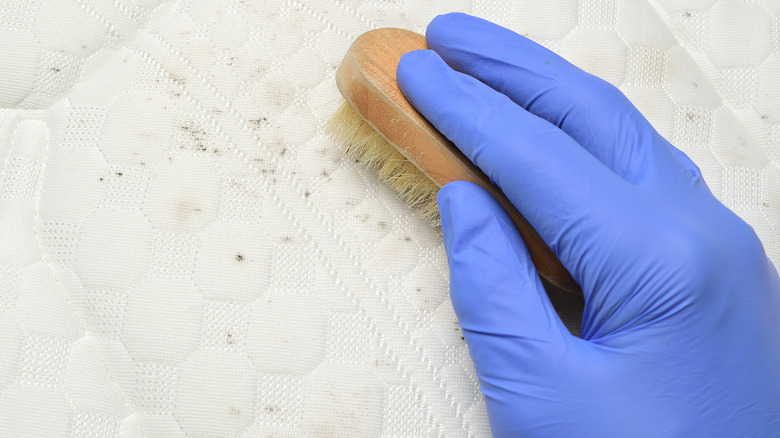 cleaning moldy mattress with brush