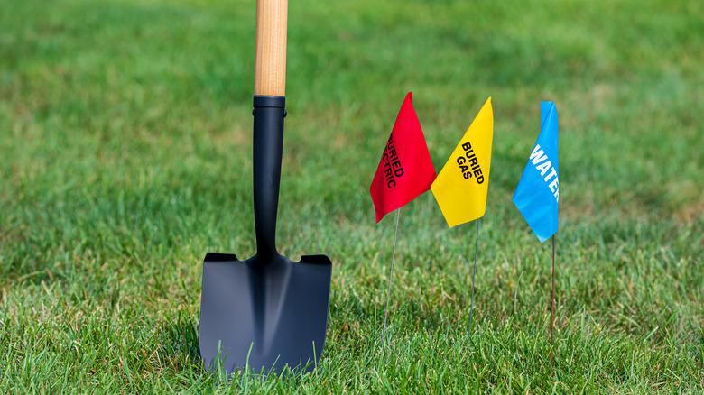 Blue, yellow, and red flags in yard