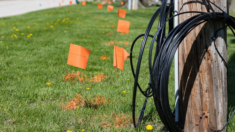 Orange flag in front lawn