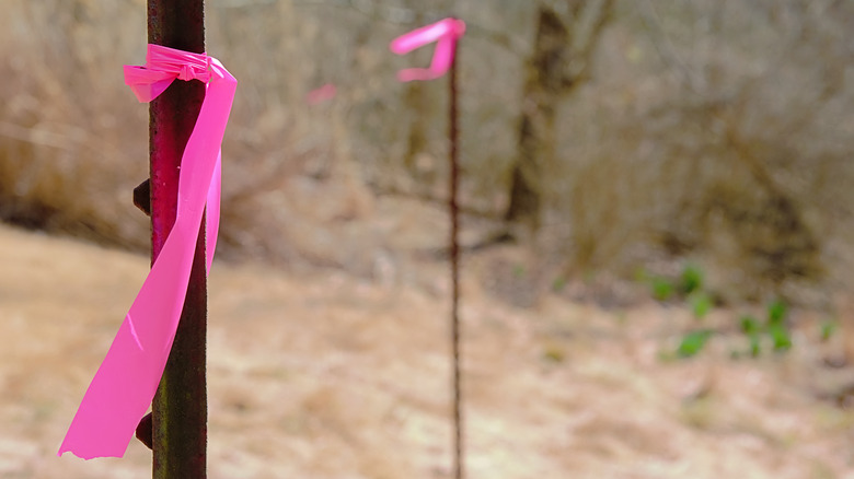 Pink ribbon marker