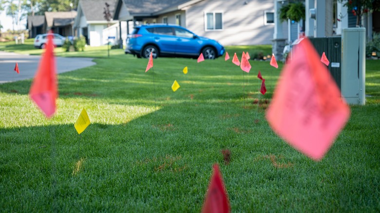 Red flags in front yard