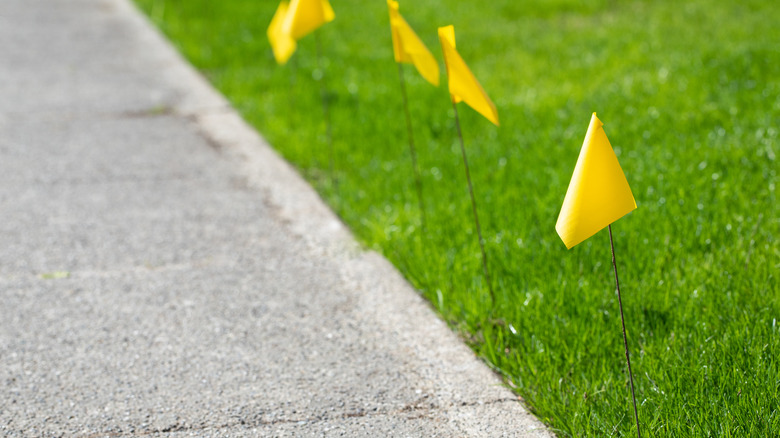 Yellow lawn marker