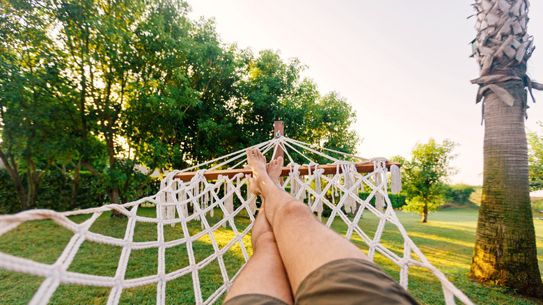 American Hammock