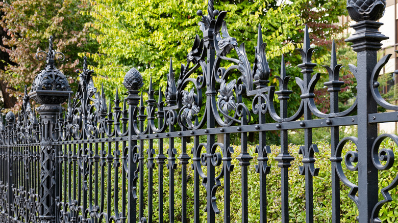 wrought iron fence securing area with green shrubs and trees