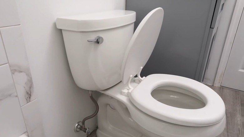 Toilet with cushioned toilet seat.