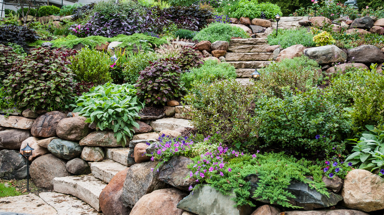 Stone stairs on sloped yard