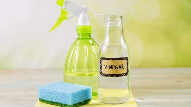 Vinegar with spray bottle
