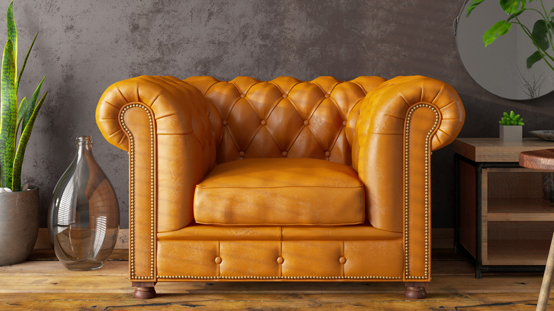 Leather chair with house plants