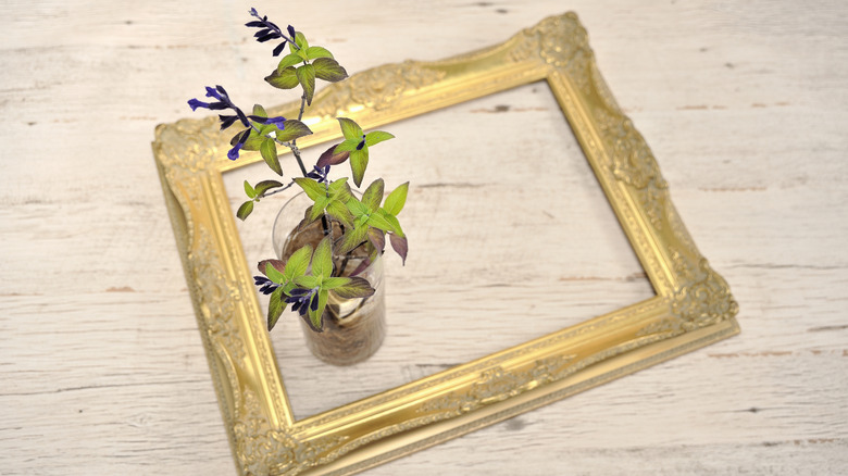 Circular vase with green and purple plant inside a gold frame