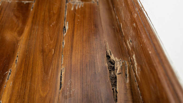 Wood flooring with large areas of damage