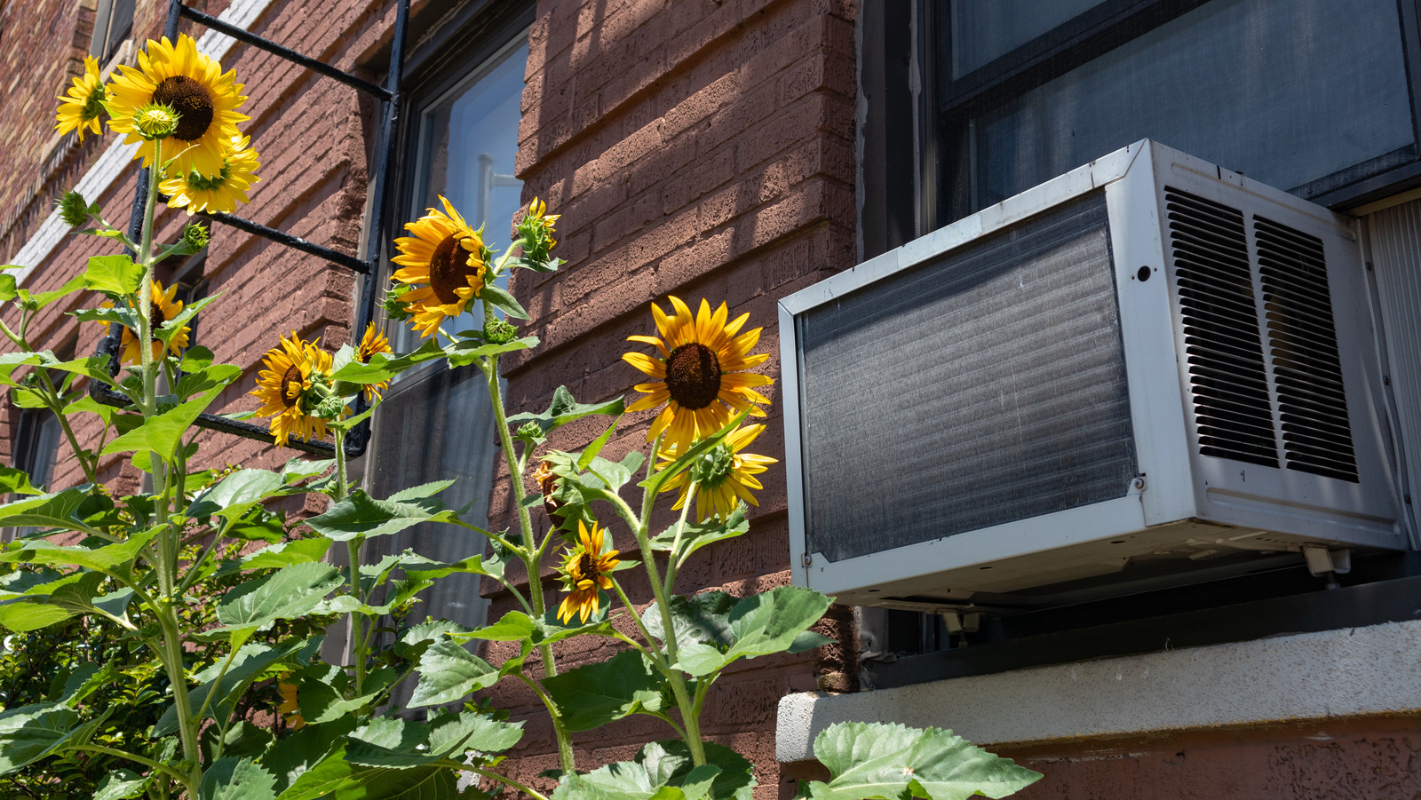 Window ac shop outside cover