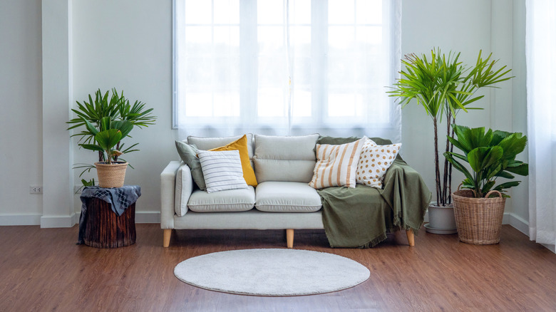 A too small circular rug in front of a sofa