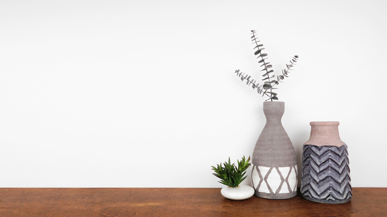 Plants in ceramic pots on a wooden shelf