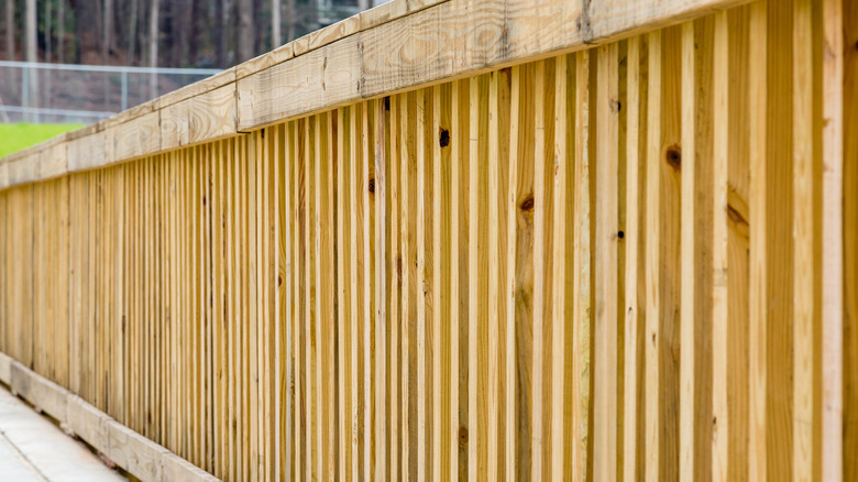 Pressure-treated pine wood fence