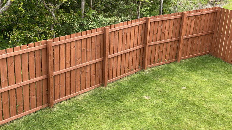 Wood fence panels installed in a yard