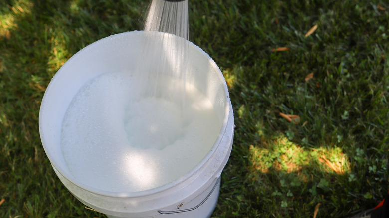 Soapy water in bucket