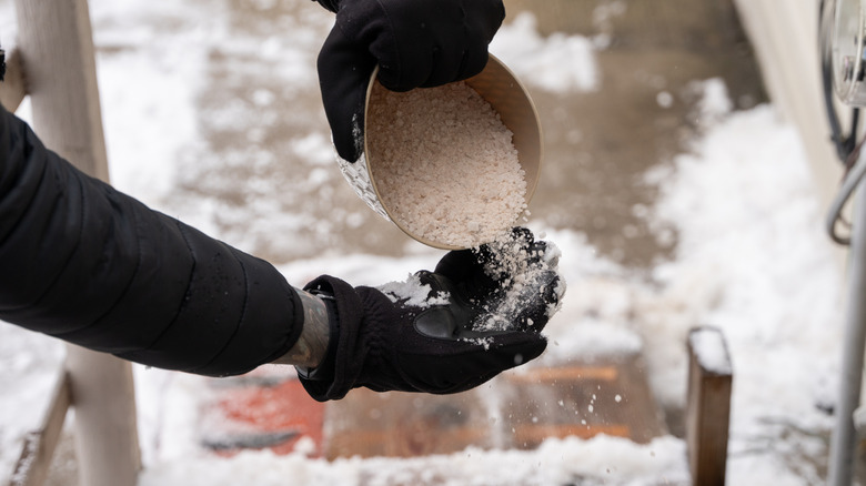 A person pouring rock salt into their hand to deice front steps